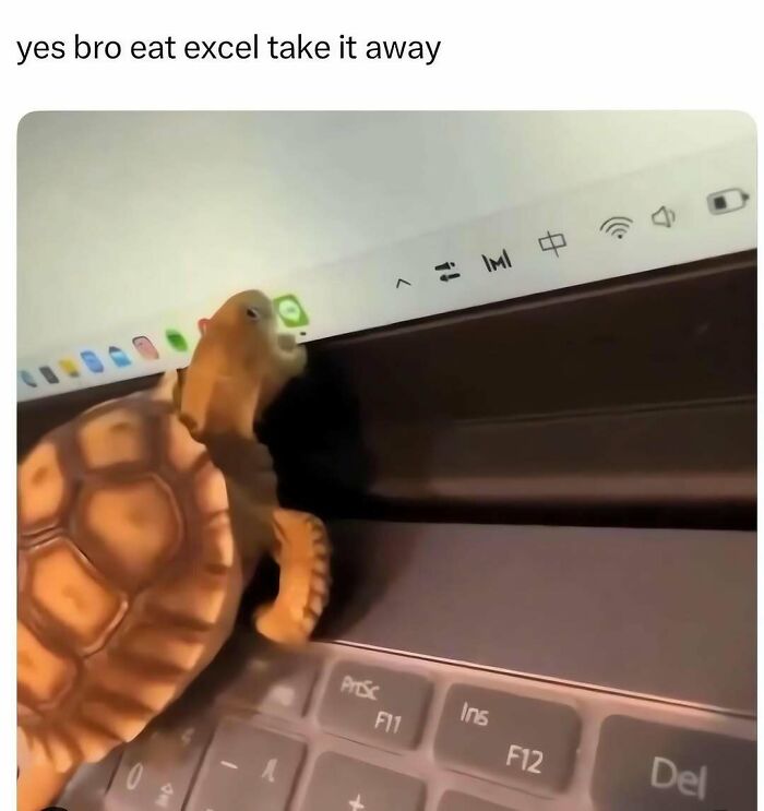76 Out-Of-Context Pics That Somehow Get Funnier The Less You Know