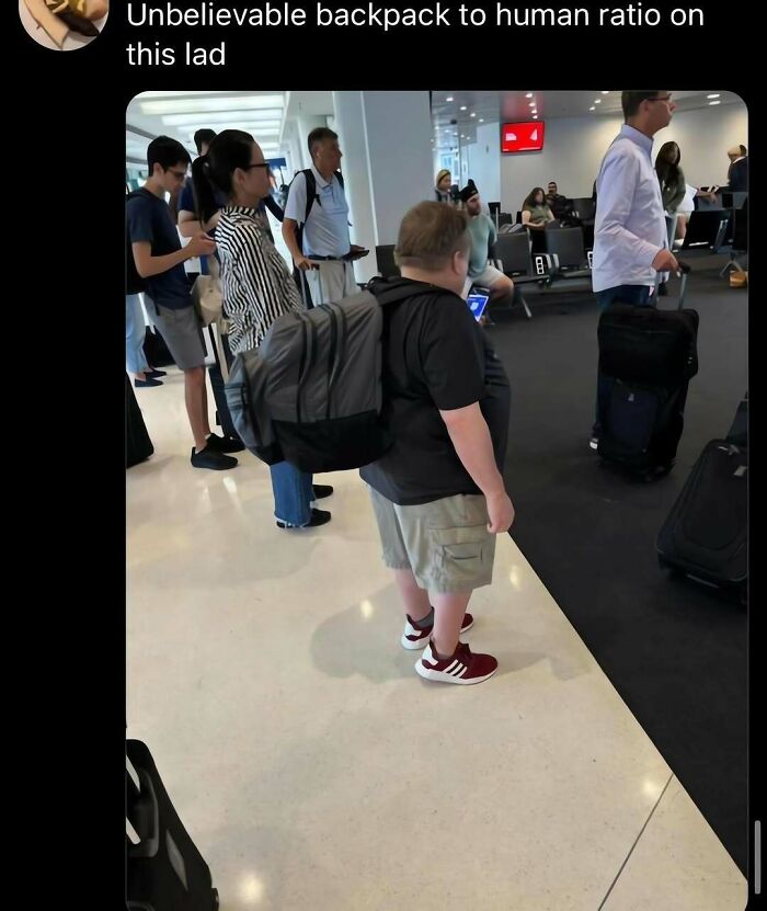 76 Out-Of-Context Pics That Somehow Get Funnier The Less You Know