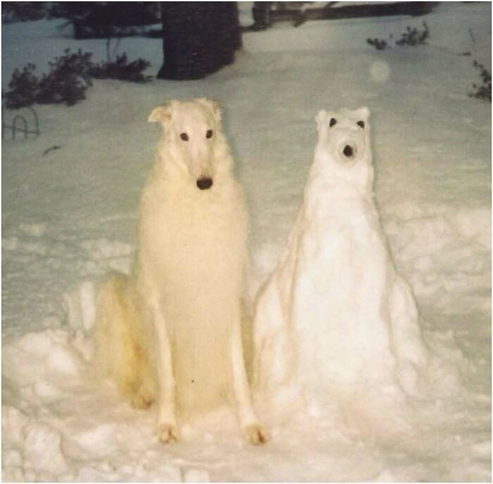 76 Out-Of-Context Pics That Somehow Get Funnier The Less You Know