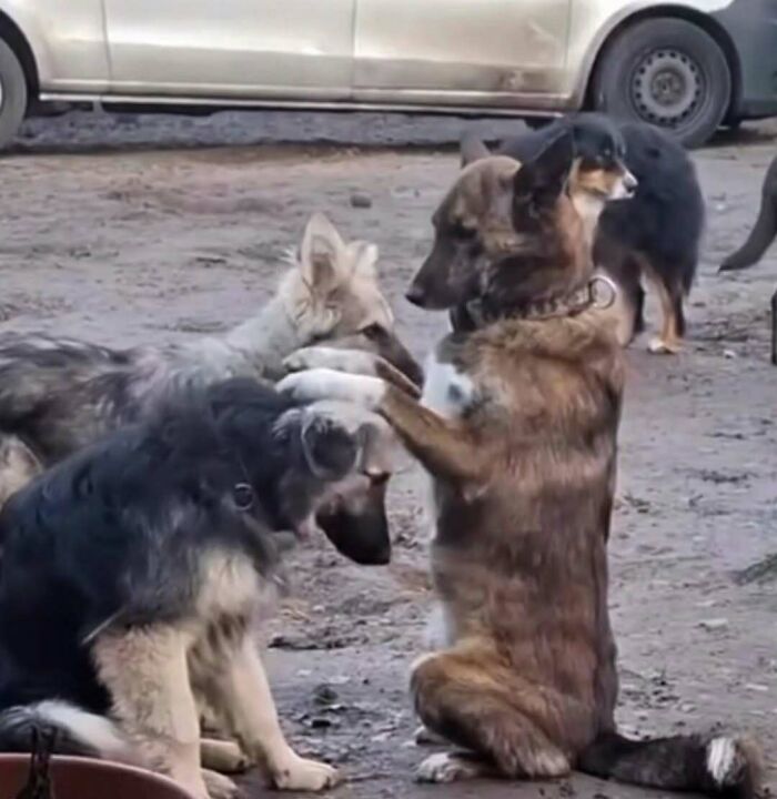 76 Out-Of-Context Pics That Somehow Get Funnier The Less You Know