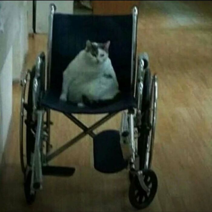 76 Out-Of-Context Pics That Somehow Get Funnier The Less You Know