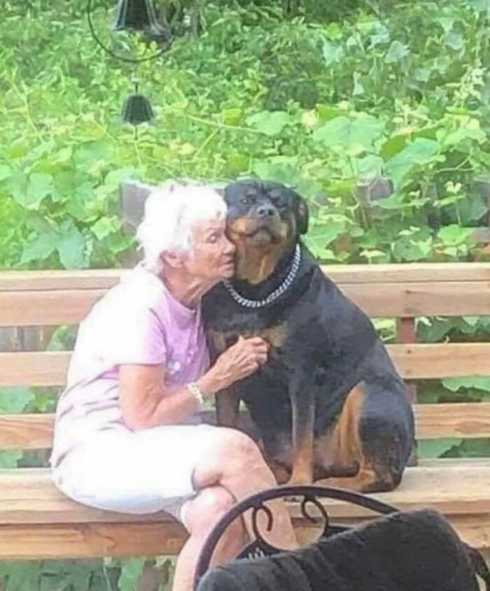 76 Out-Of-Context Pics That Somehow Get Funnier The Less You Know