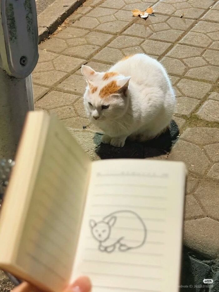 76 Out-Of-Context Pics That Somehow Get Funnier The Less You Know