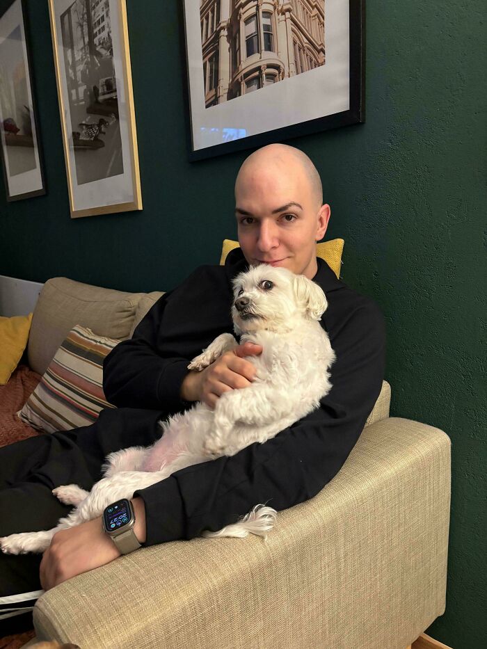 67 Dogs Who Left Their Owners Wondering What Exactly Was Going On In Their Heads (New Pics)