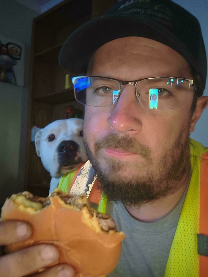 67 Dogs Who Left Their Owners Wondering What Exactly Was Going On In Their Heads (New Pics)