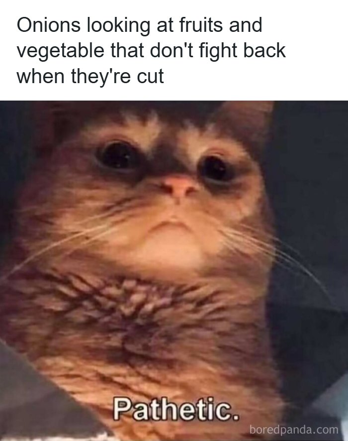 53 Memes That Are So Spot-On, It&rsquo;s Actually Concerning How Accurate They Are