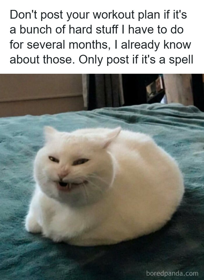 53 Memes That Are So Spot-On, It&rsquo;s Actually Concerning How Accurate They Are