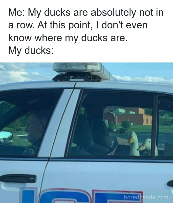 53 Memes That Are So Spot-On, It&rsquo;s Actually Concerning How Accurate They Are