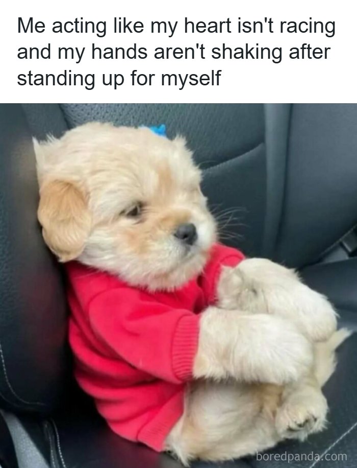 53 Memes That Are So Spot-On, It&rsquo;s Actually Concerning How Accurate They Are
