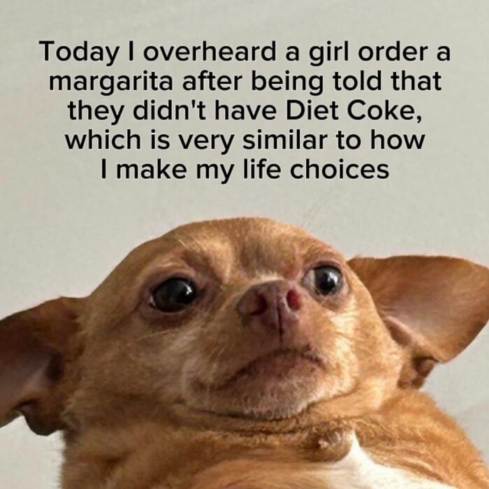53 Memes That Are So Spot-On, It&rsquo;s Actually Concerning How Accurate They Are