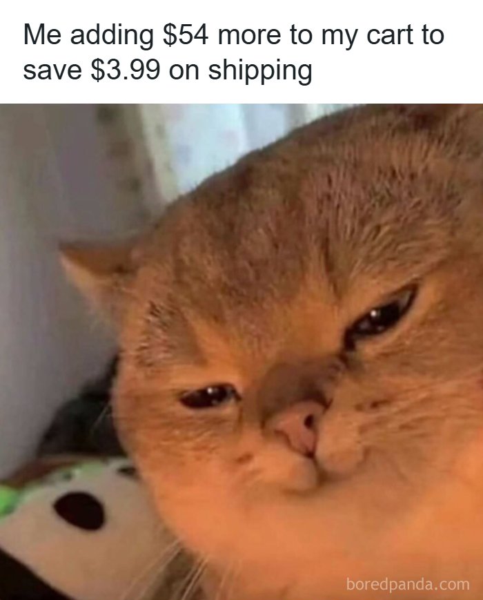53 Memes That Are So Spot-On, It&rsquo;s Actually Concerning How Accurate They Are