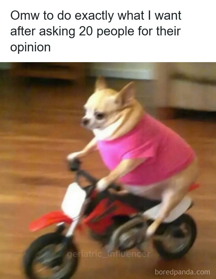 53 Memes That Are So Spot-On, It&rsquo;s Actually Concerning How Accurate They Are