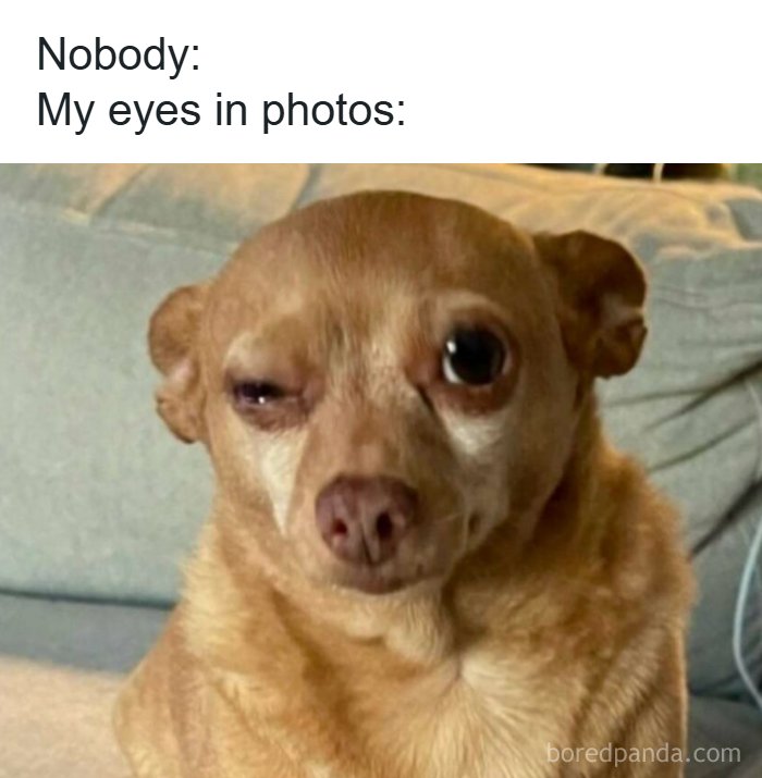 53 Memes That Are So Spot-On, It&rsquo;s Actually Concerning How Accurate They Are