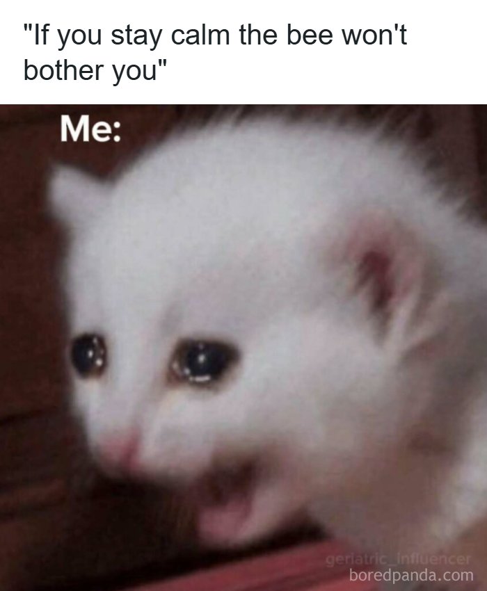 53 Memes That Are So Spot-On, It&rsquo;s Actually Concerning How Accurate They Are