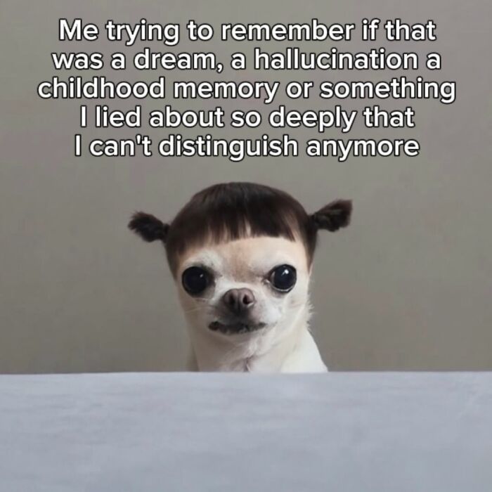 53 Memes That Are So Spot-On, It&rsquo;s Actually Concerning How Accurate They Are