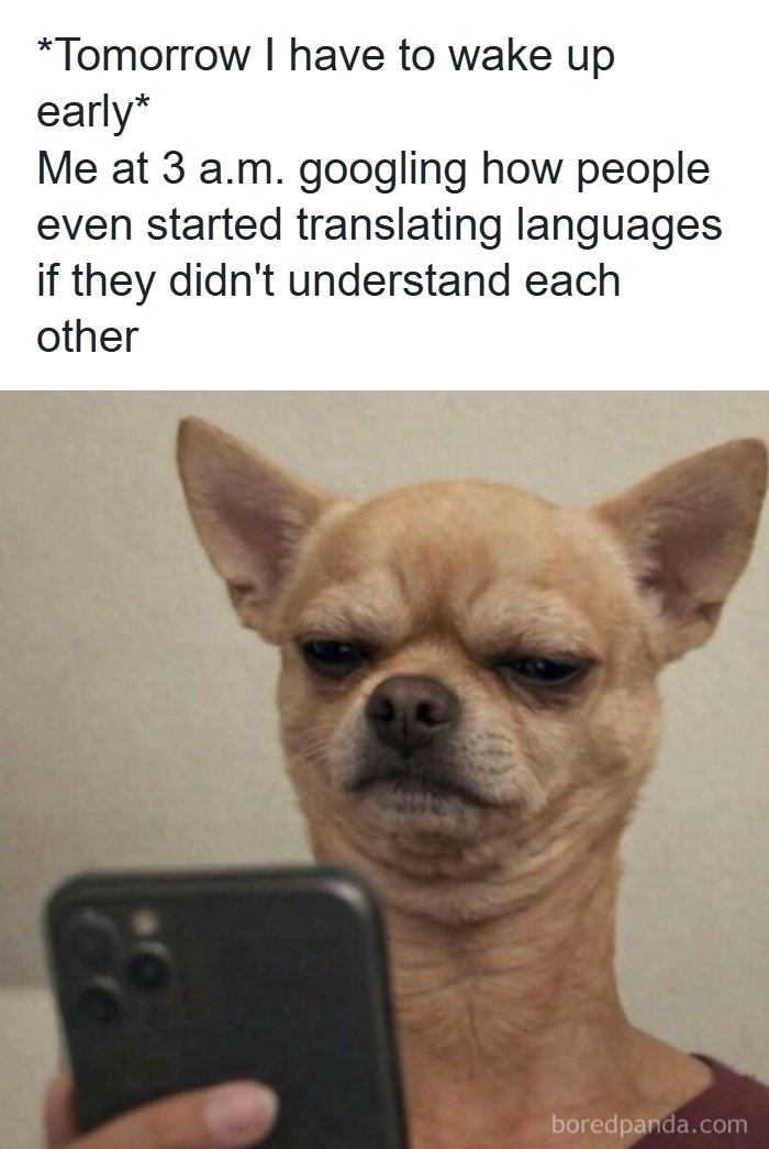53 Memes That Are So Spot-On, It&rsquo;s Actually Concerning How Accurate They Are