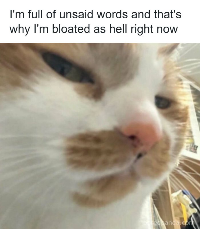 53 Memes That Are So Spot-On, It&rsquo;s Actually Concerning How Accurate They Are