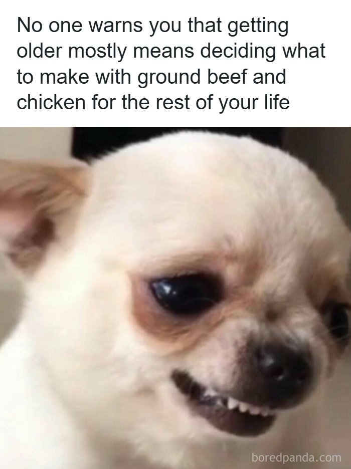 53 Memes That Are So Spot-On, It&rsquo;s Actually Concerning How Accurate They Are