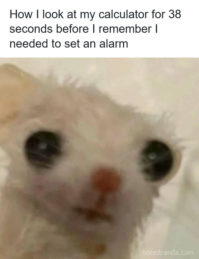 53 Memes That Are So Spot-On, It&rsquo;s Actually Concerning How Accurate They Are