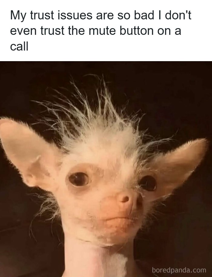 53 Memes That Are So Spot-On, It&rsquo;s Actually Concerning How Accurate They Are