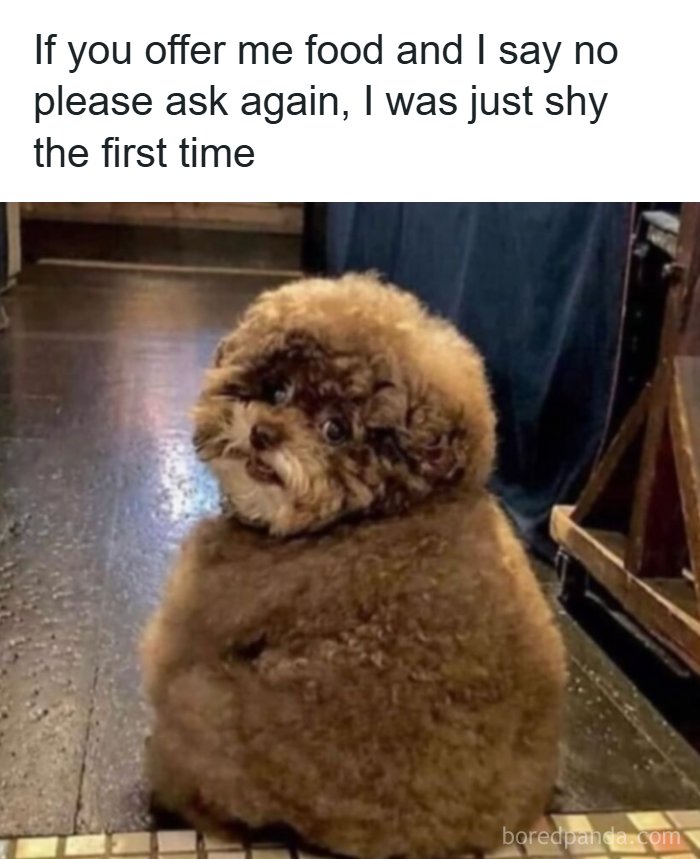 53 Memes That Are So Spot-On, It&rsquo;s Actually Concerning How Accurate They Are