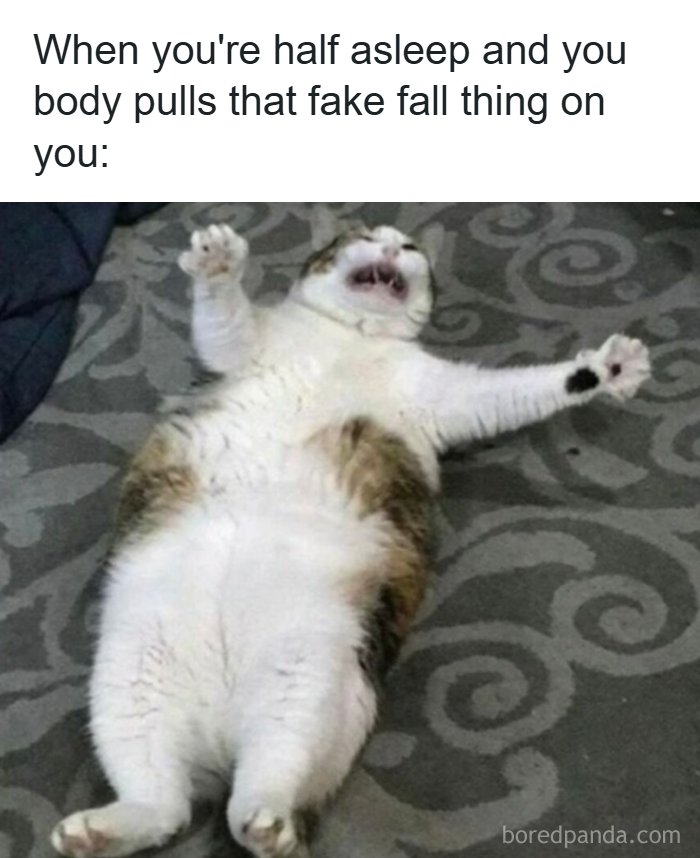 53 Memes That Are So Spot-On, It&rsquo;s Actually Concerning How Accurate They Are