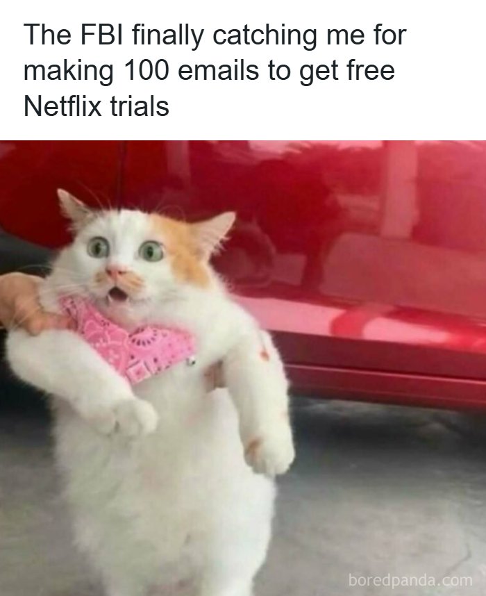 53 Memes That Are So Spot-On, It&rsquo;s Actually Concerning How Accurate They Are