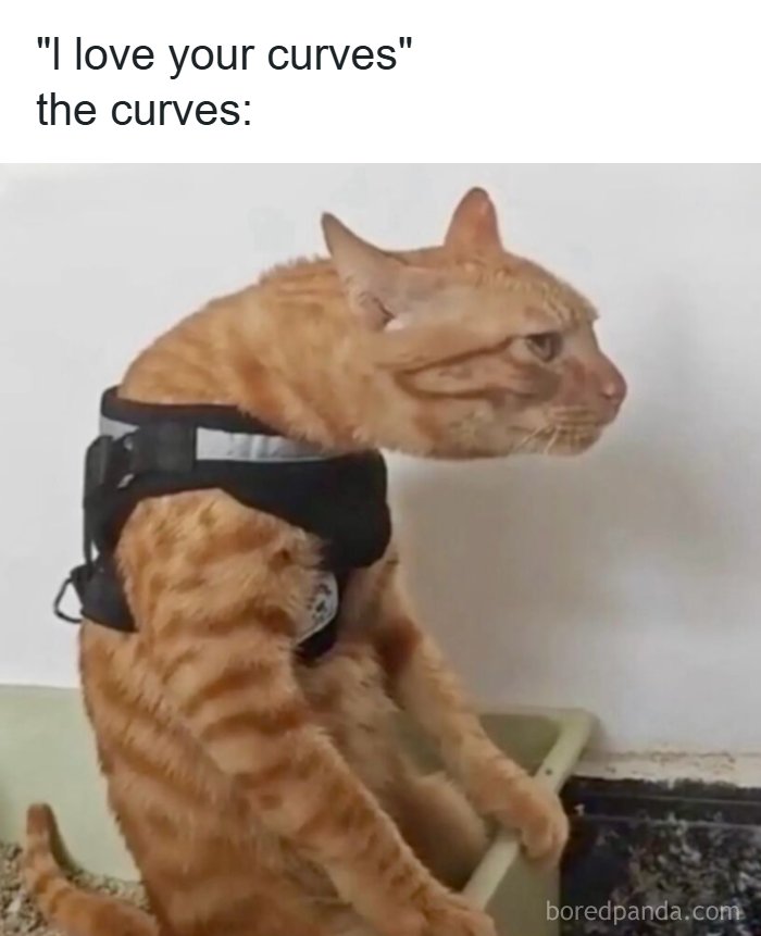 53 Memes That Are So Spot-On, It&rsquo;s Actually Concerning How Accurate They Are