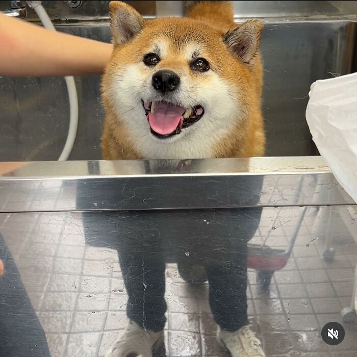 65 Photos So Perfectly Confusing That Even Your Second And Third Look Might Not Be Enough To Get It 65 Photos So Perfectly Confusing That Even Your Second And Third Look Might Not Be Enough To Get It