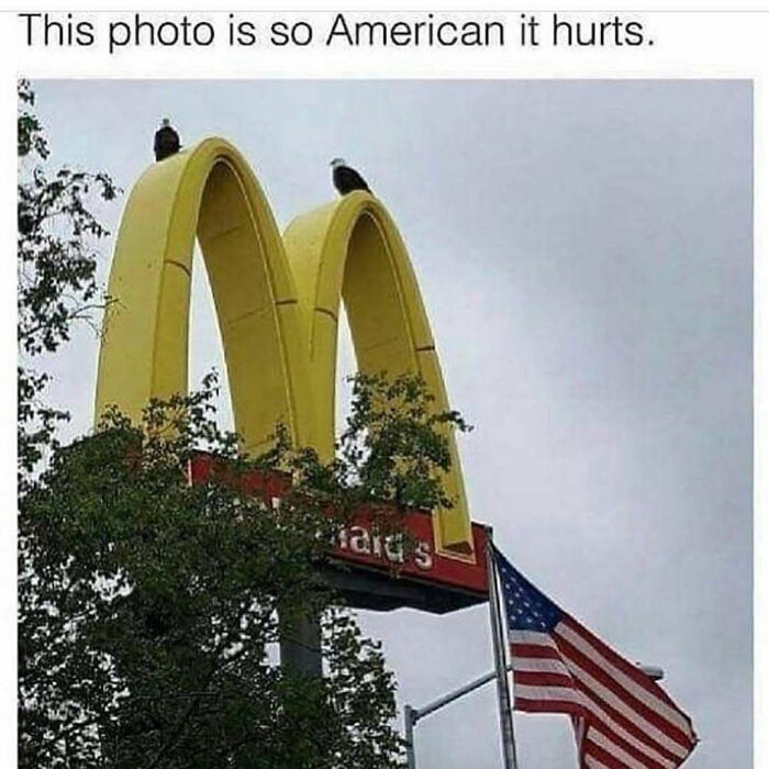 80 Hilarious But Not-So-Relatable Memes That Prove Rednecks Are Really Something Else
