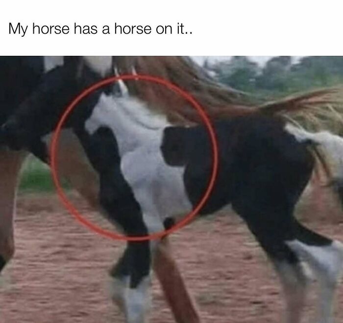 80 Hilarious But Not-So-Relatable Memes That Prove Rednecks Are Really Something Else