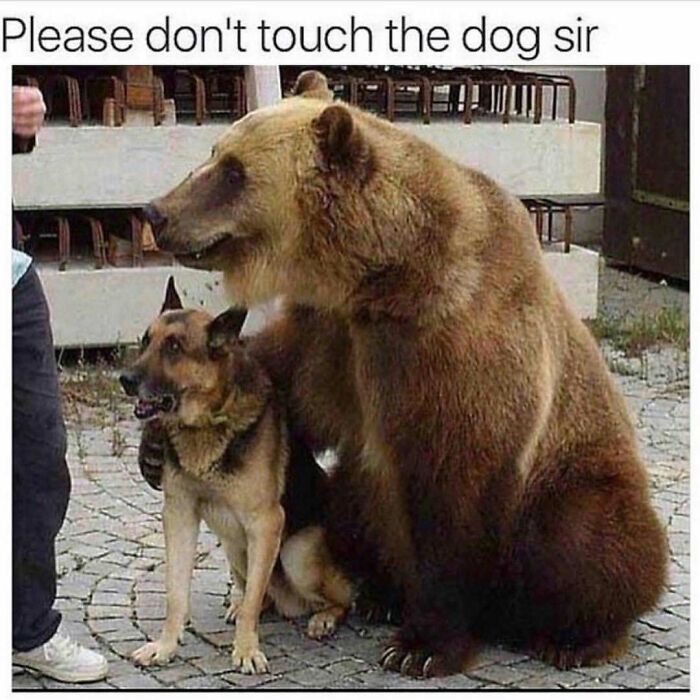 80 Hilarious But Not-So-Relatable Memes That Prove Rednecks Are Really Something Else
