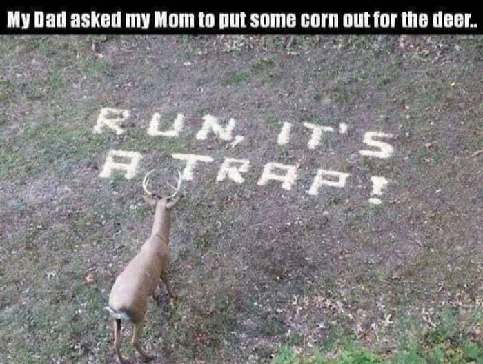 80 Hilarious But Not-So-Relatable Memes That Prove Rednecks Are Really Something Else