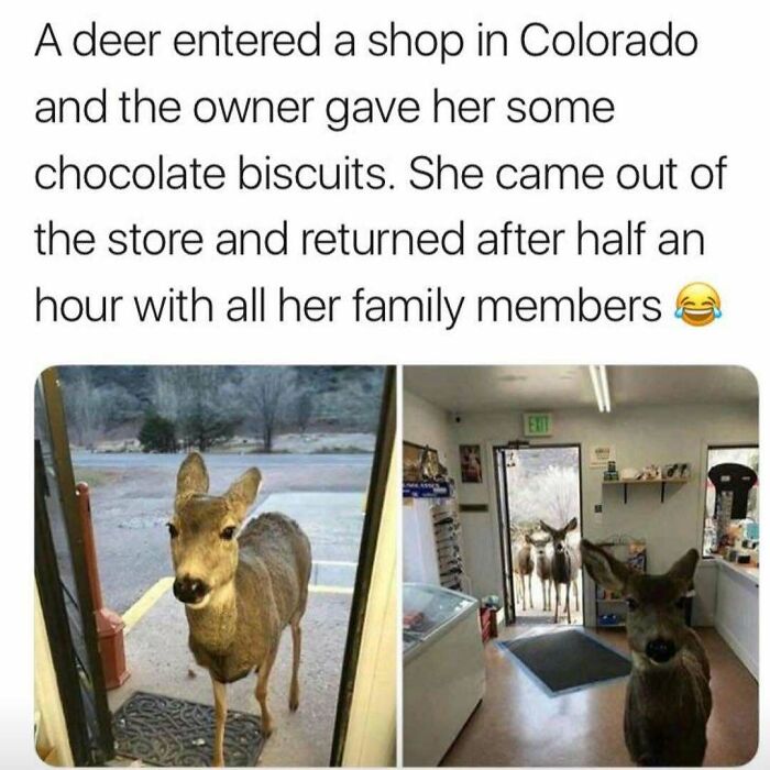 80 Hilarious But Not-So-Relatable Memes That Prove Rednecks Are Really Something Else