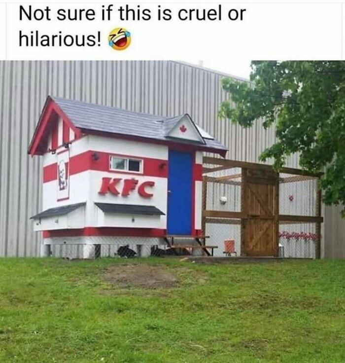 80 Hilarious But Not-So-Relatable Memes That Prove Rednecks Are Really Something Else