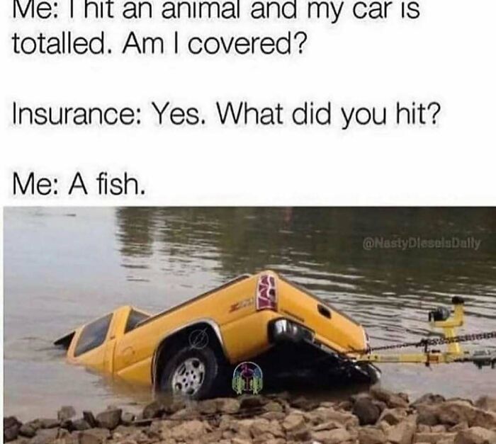 80 Hilarious But Not-So-Relatable Memes That Prove Rednecks Are Really Something Else