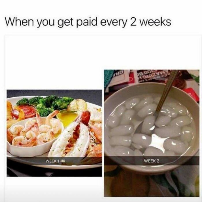80 Hilarious But Not-So-Relatable Memes That Prove Rednecks Are Really Something Else