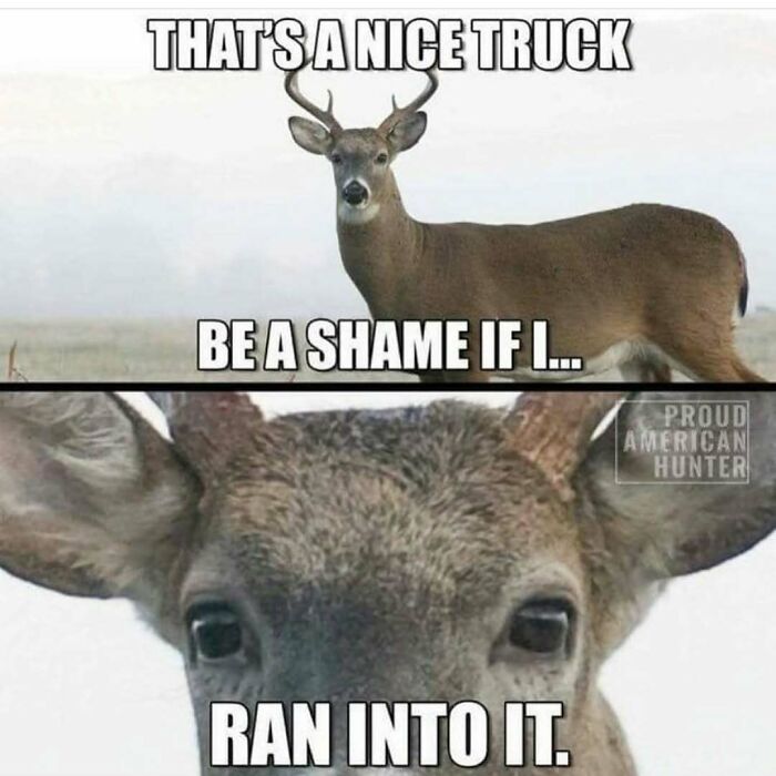 80 Hilarious But Not-So-Relatable Memes That Prove Rednecks Are Really Something Else