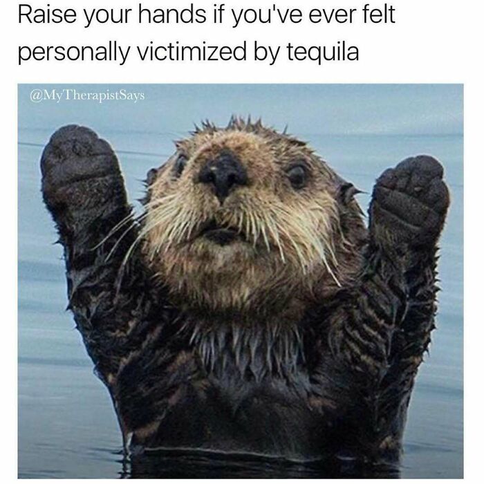 80 Hilarious But Not-So-Relatable Memes That Prove Rednecks Are Really Something Else
