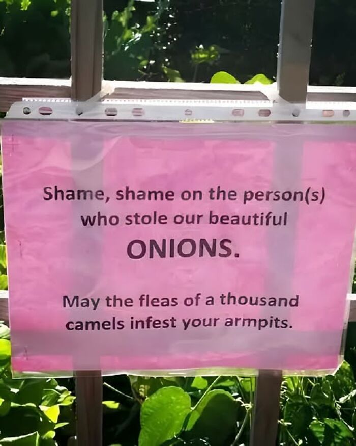 70 Fun, Odd And Interesting Photos That People Needed To Share With The World