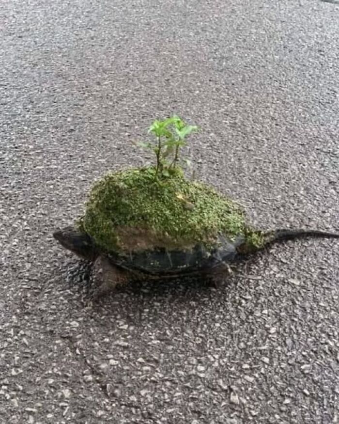 70 Fun, Odd And Interesting Photos That People Needed To Share With The World