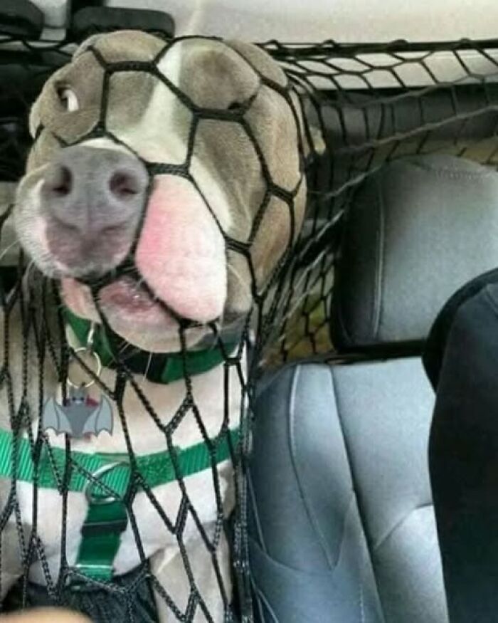 70 Fun, Odd And Interesting Photos That People Needed To Share With The World