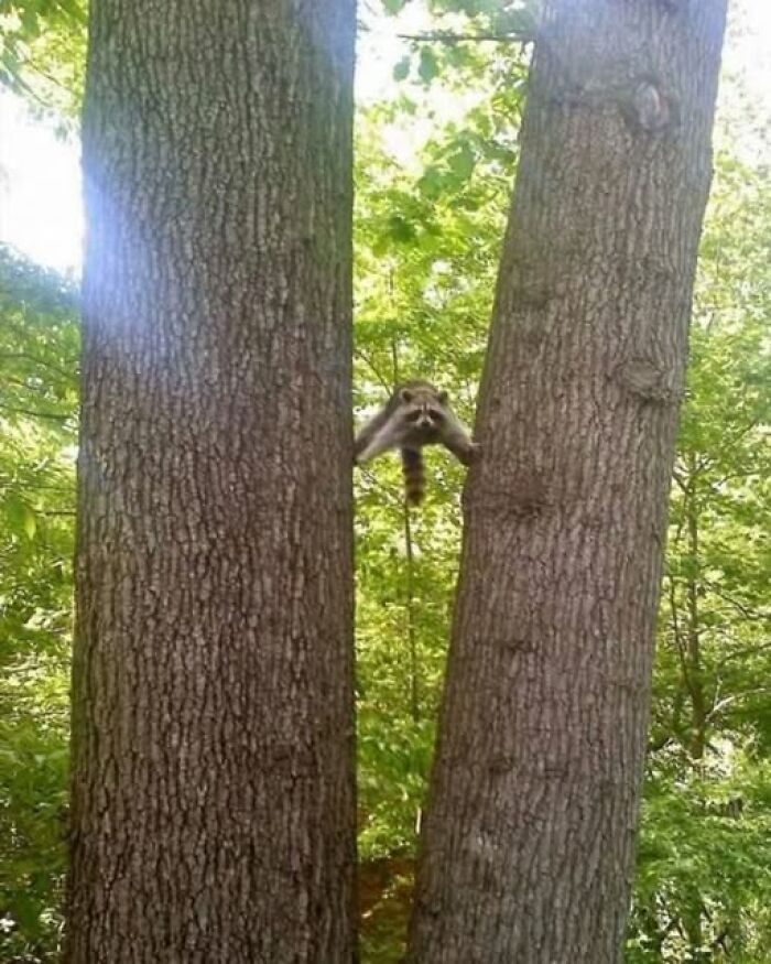 70 Fun, Odd And Interesting Photos That People Needed To Share With The World