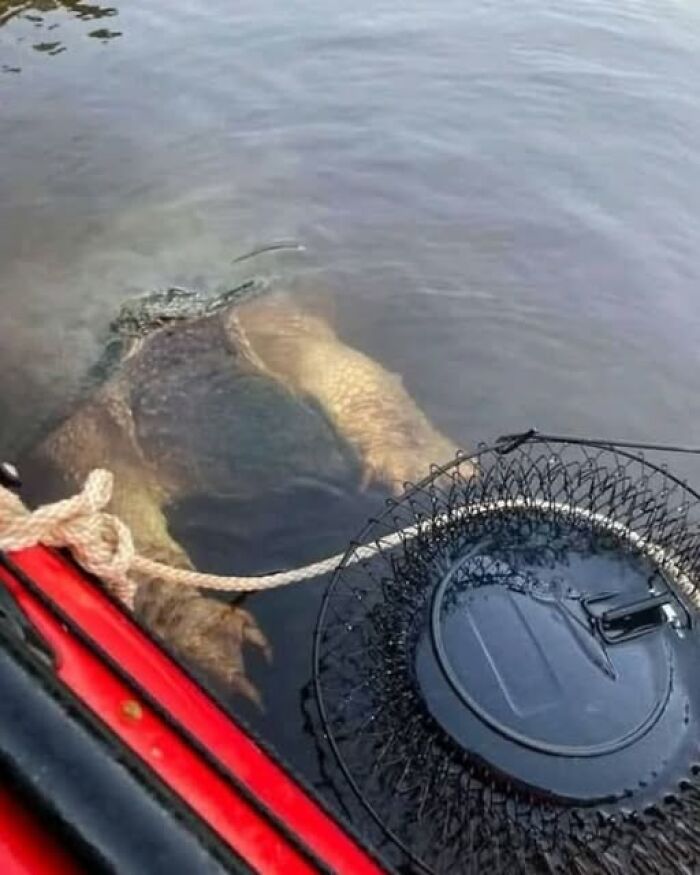 70 Fun, Odd And Interesting Photos That People Needed To Share With The World