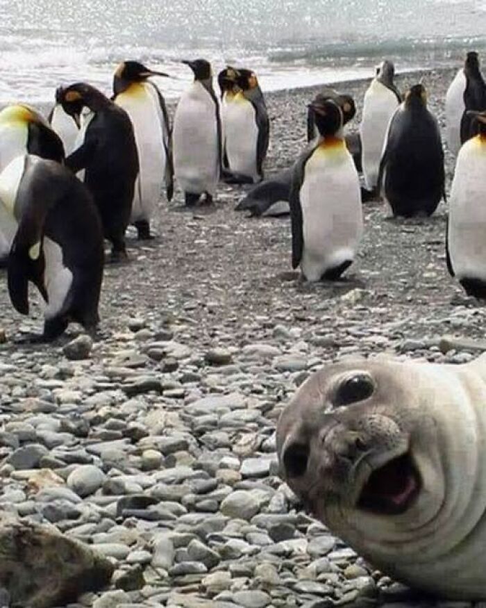 70 Fun, Odd And Interesting Photos That People Needed To Share With The World