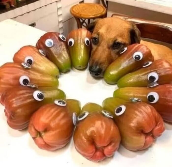70 Fun, Odd And Interesting Photos That People Needed To Share With The World