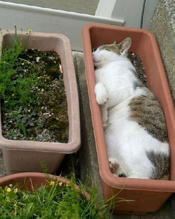 70 Fun, Odd And Interesting Photos That People Needed To Share With The World