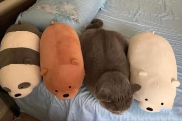 70 Fun, Odd And Interesting Photos That People Needed To Share With The World