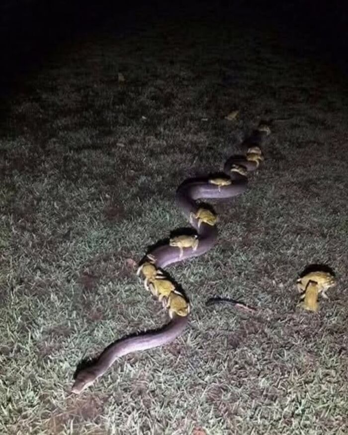 70 Fun, Odd And Interesting Photos That People Needed To Share With The World