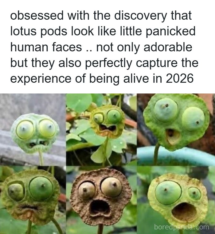 70 Fun, Odd And Interesting Photos That People Needed To Share With The World